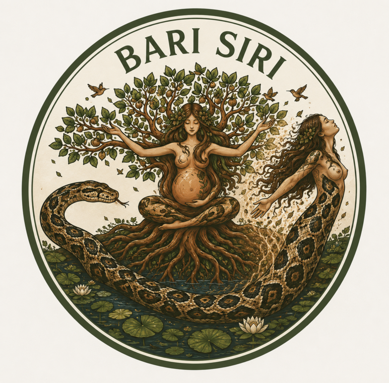 barisiri-bras-o.png